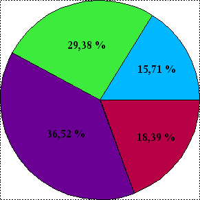 Figura 20 - Gráfico Circular